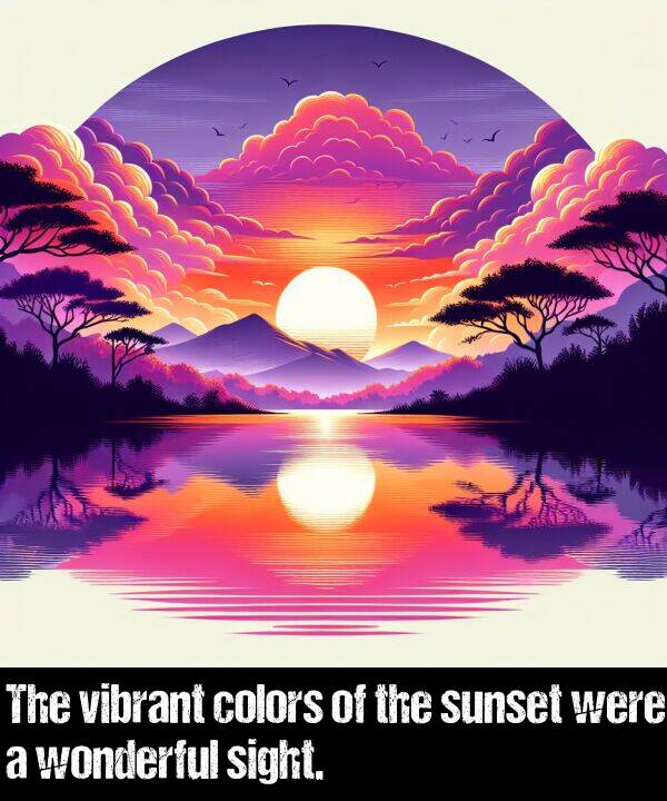vibrant: The vibrant colors of the sunset were a wonderful sight.