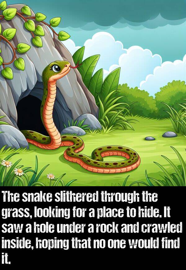 looking: The snake slithered through the grass, looking for a place to hide. It saw a hole under a rock and crawled inside, hoping that no one would find it.