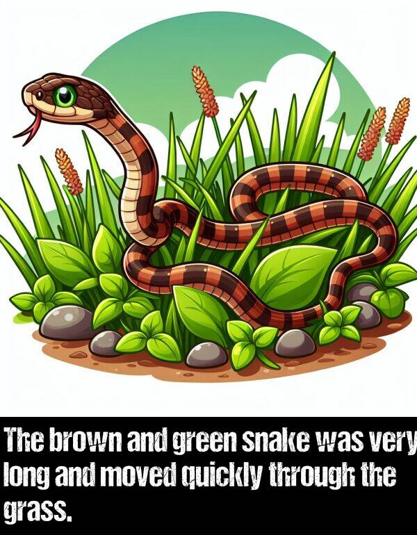 brown: The brown and green snake was very long and moved quickly through the grass.