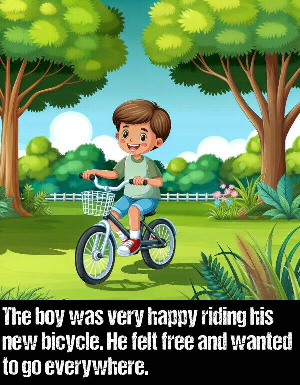 boy: The boy was very happy riding his new bicycle. He felt free and wanted to go everywhere.
