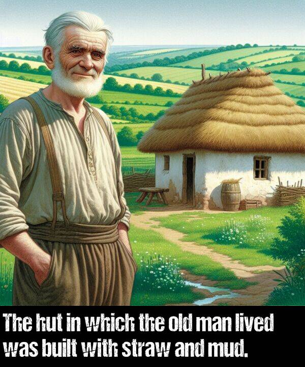 which: The hut in which the old man lived was built with straw and mud.