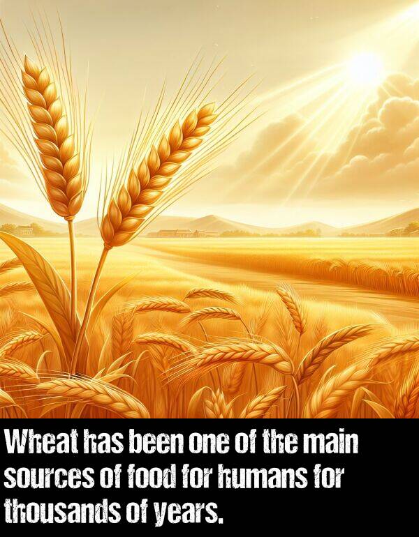 been: Wheat has been one of the main sources of food for humans for thousands of years.