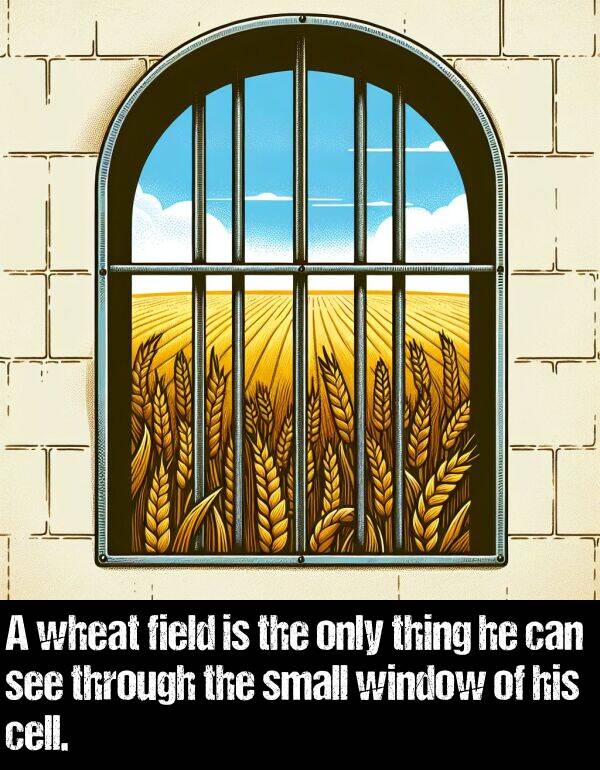 only: A wheat field is the only thing he can see through the small window of his cell.