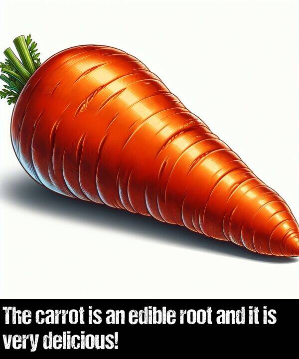 edible: The carrot is an edible root and it is very delicious!