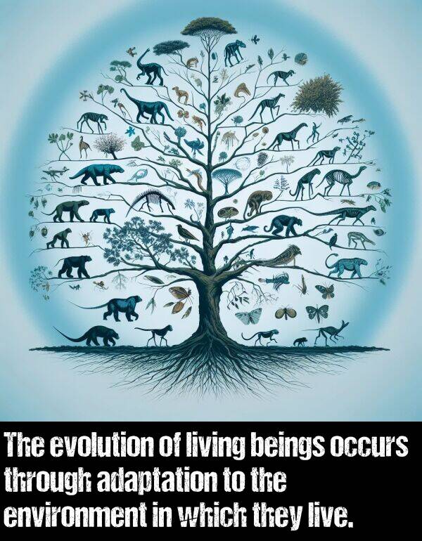 which: The evolution of living beings occurs through adaptation to the environment in which they live.