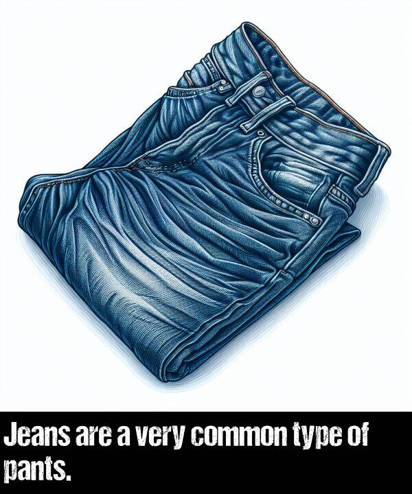 are: Jeans are a very common type of pants.