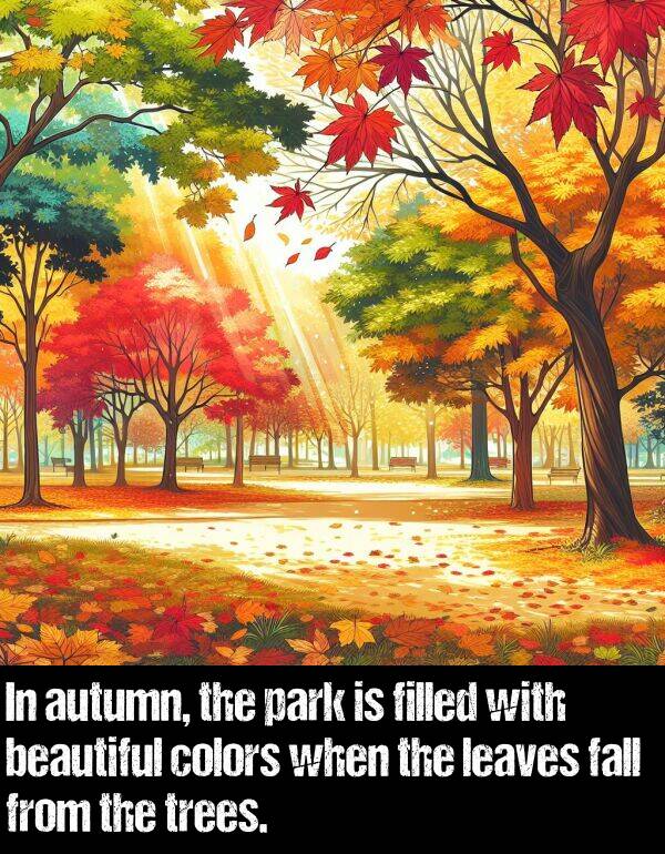 park: In autumn, the park is filled with beautiful colors when the leaves fall from the trees.