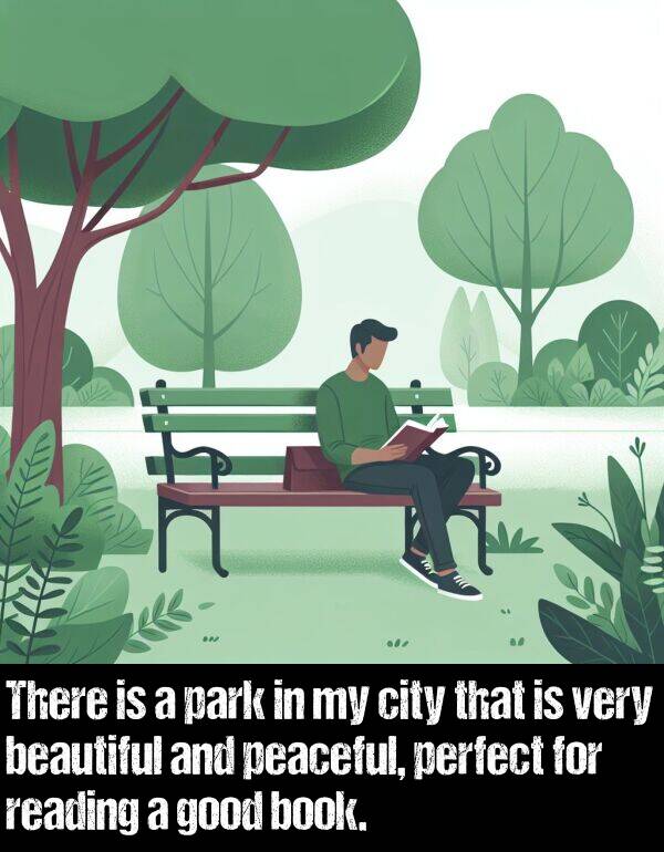 reading: There is a park in my city that is very beautiful and peaceful, perfect for reading a good book.