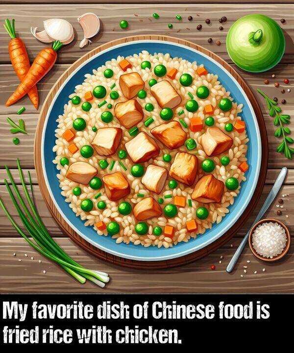 favorite: My favorite dish of Chinese food is fried rice with chicken.