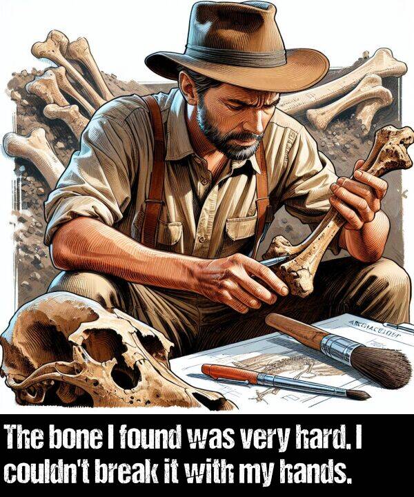 break: The bone I found was very hard. I couldn't break it with my hands.