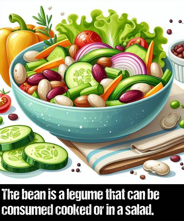 legume: The bean is a legume that can be consumed cooked or in a salad.