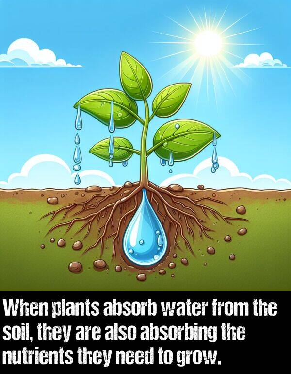 absorb: When plants absorb water from the soil, they are also absorbing the nutrients they need to grow.