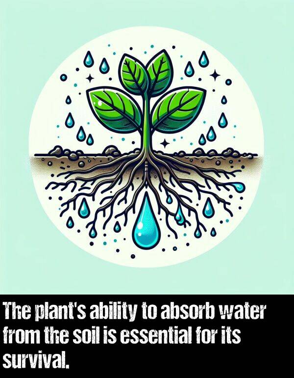 ability: The plant's ability to absorb water from the soil is essential for its survival.