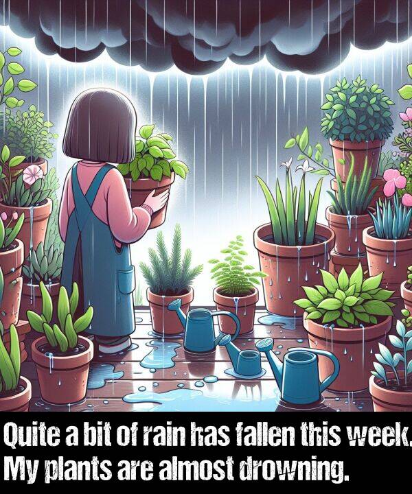 bit: Quite a bit of rain has fallen this week. My plants are almost drowning.