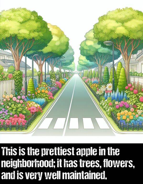 well: This is the prettiest apple in the neighborhood; it has trees, flowers, and is very well maintained.