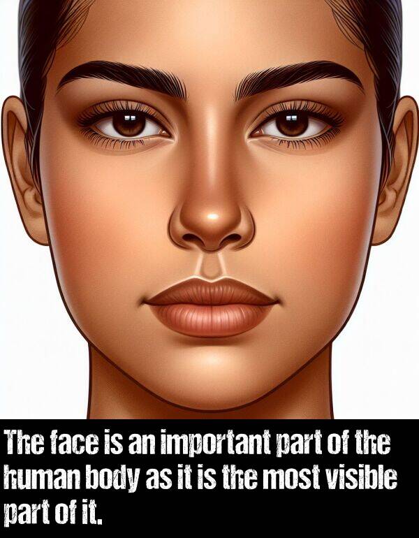 body: The face is an important part of the human body as it is the most visible part of it.