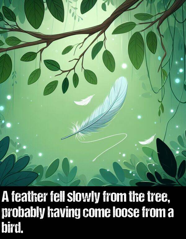loose: A feather fell slowly from the tree, probably having come loose from a bird.
