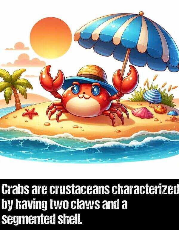 having: Crabs are crustaceans characterized by having two claws and a segmented shell.