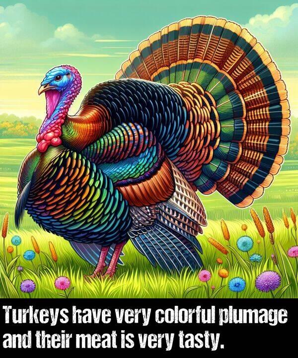 their: Turkeys have very colorful plumage and their meat is very tasty.