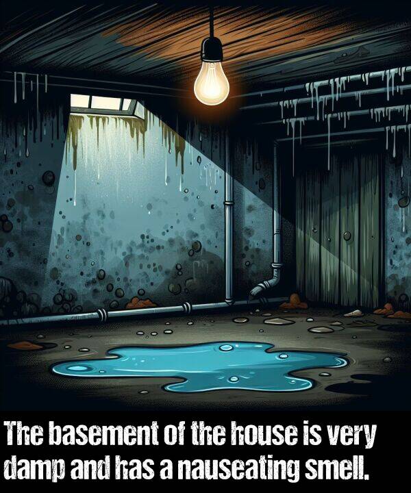 basement: The basement of the house is very damp and has a nauseating smell.