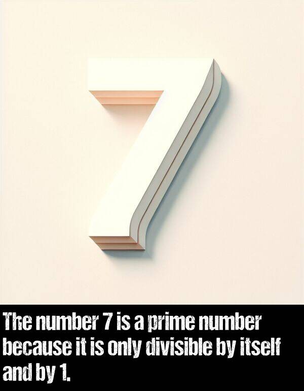 because: The number 7 is a prime number because it is only divisible by itself and by 1.