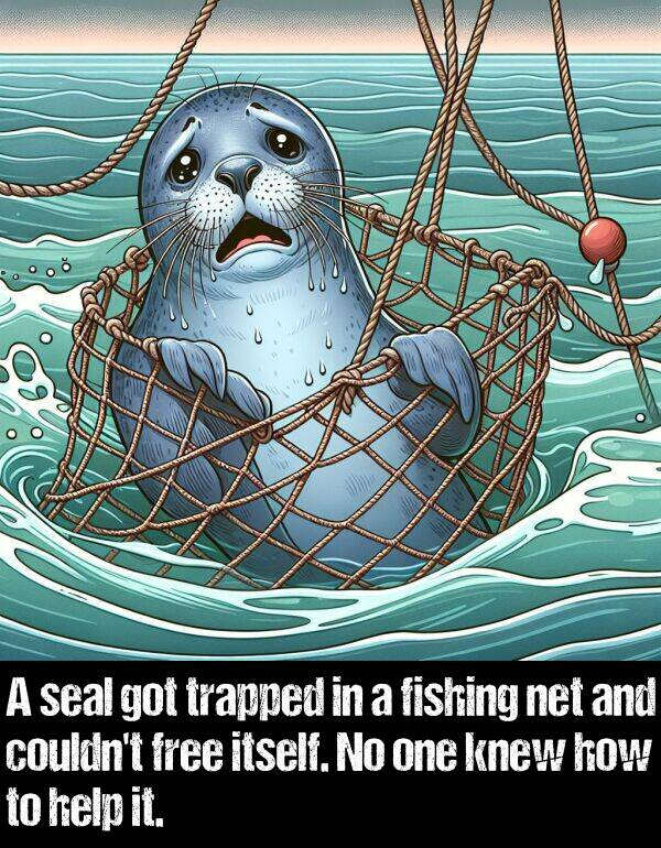 how: A seal got trapped in a fishing net and couldn't free itself. No one knew how to help it.