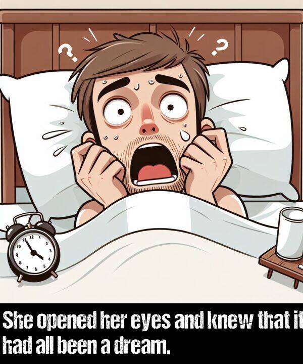 been: She opened her eyes and knew that it had all been a dream.
