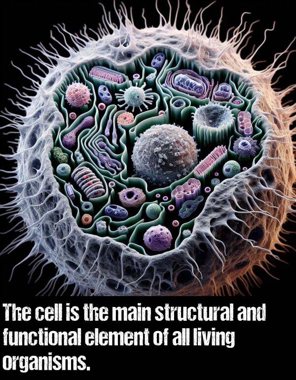 living: The cell is the main structural and functional element of all living organisms.