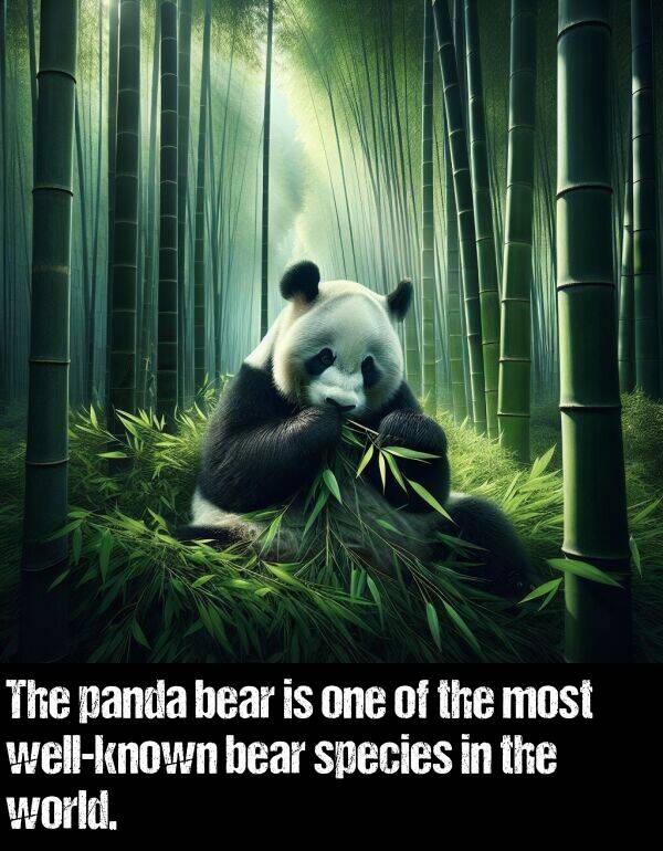 bear: The panda bear is one of the most well-known bear species in the world.