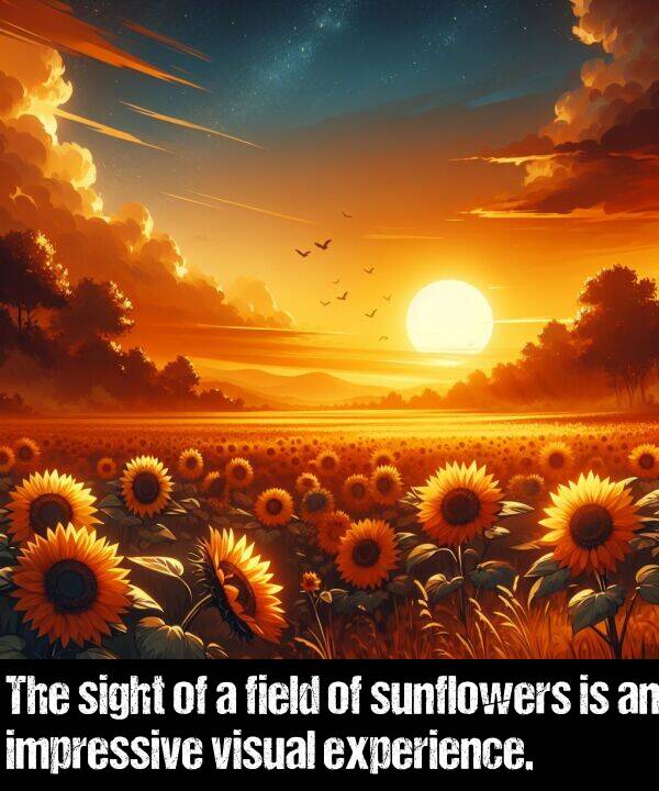 impressive: The sight of a field of sunflowers is an impressive visual experience.
