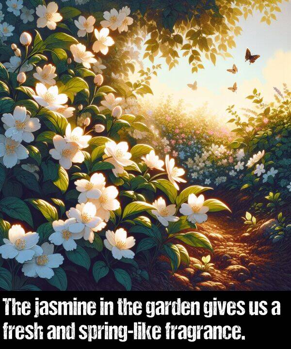 gives: The jasmine in the garden gives us a fresh and spring-like fragrance.