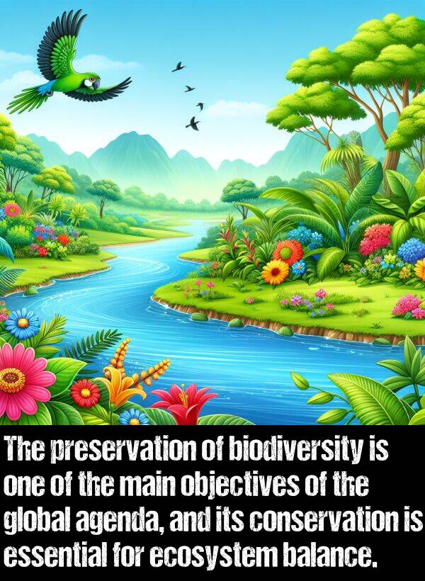 balance: The preservation of biodiversity is one of the main objectives of the global agenda, and its conservation is essential for ecosystem balance.