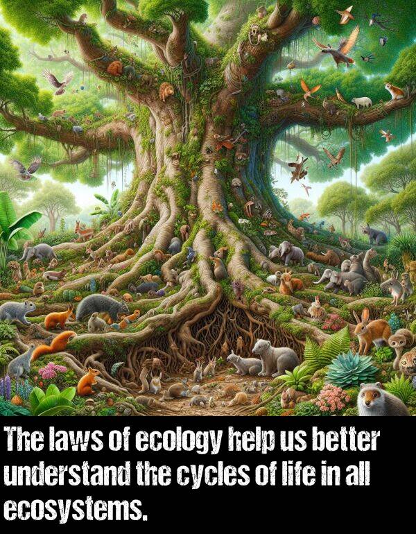 laws: The laws of ecology help us better understand the cycles of life in all ecosystems.