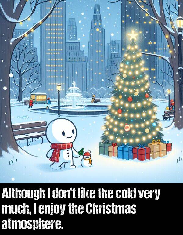 much: Although I don't like the cold very much, I enjoy the Christmas atmosphere.