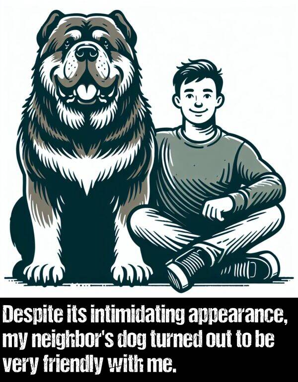 appearance: Despite its intimidating appearance, my neighbor's dog turned out to be very friendly with me.