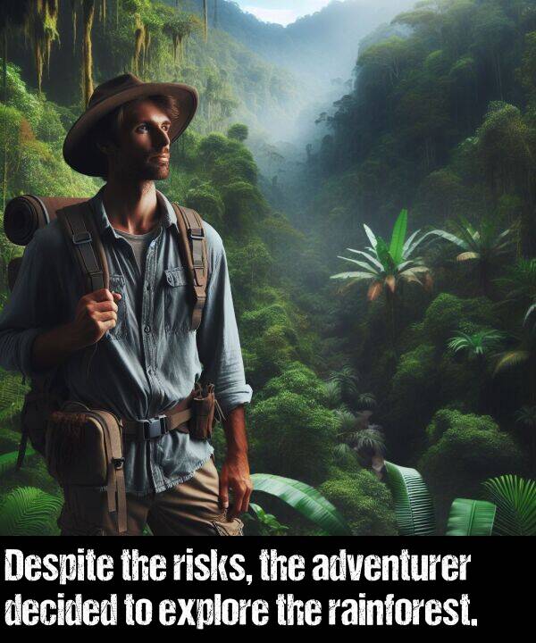 rainforest: Despite the risks, the adventurer decided to explore the rainforest.
