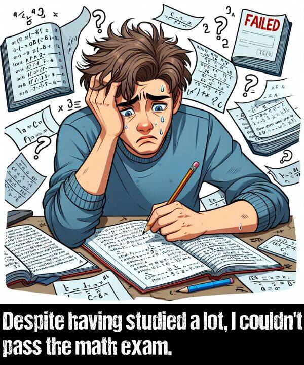 lot: Despite having studied a lot, I couldn't pass the math exam.