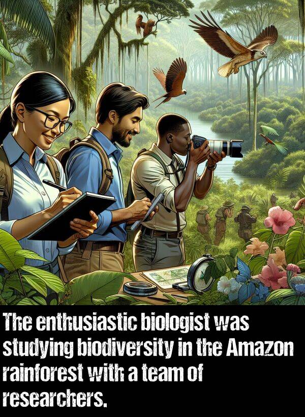team: The enthusiastic biologist was studying biodiversity in the Amazon rainforest with a team of researchers.