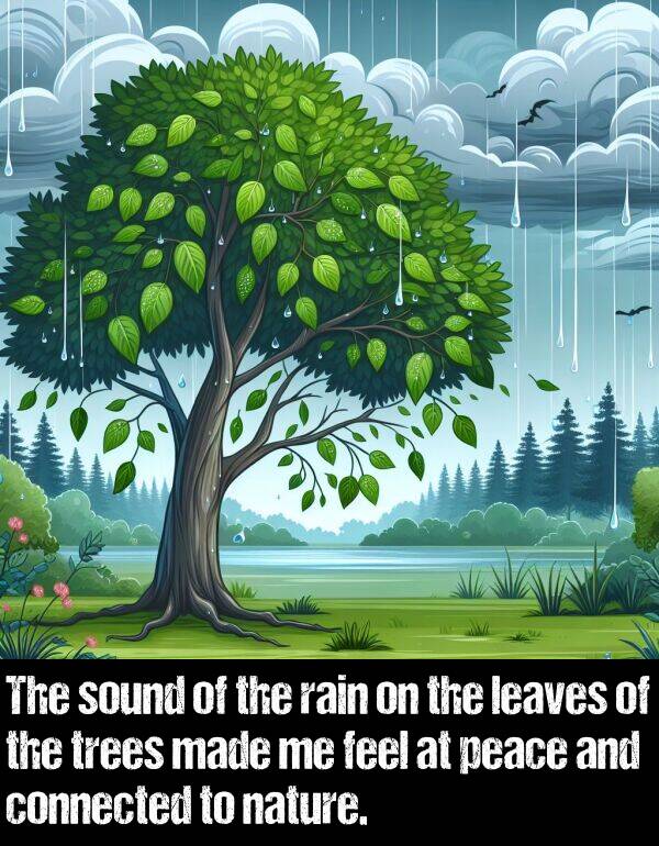 feel: The sound of the rain on the leaves of the trees made me feel at peace and connected to nature.