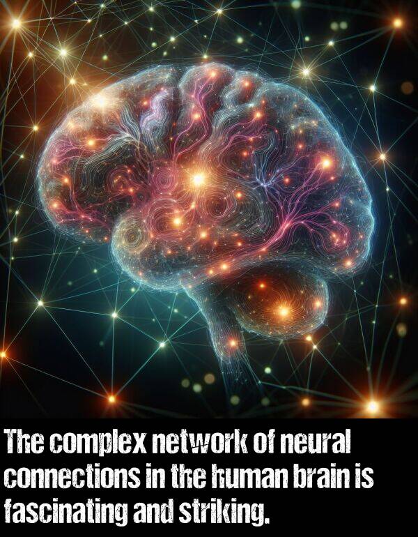 neural: The complex network of neural connections in the human brain is fascinating and striking.