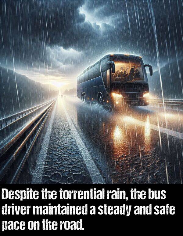 bus: Despite the torrential rain, the bus driver maintained a steady and safe pace on the road.
