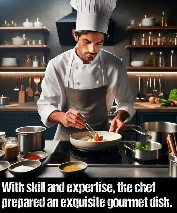 skill: With skill and expertise, the chef prepared an exquisite gourmet dish.