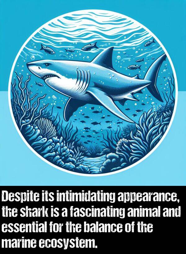 balance: Despite its intimidating appearance, the shark is a fascinating animal and essential for the balance of the marine ecosystem.