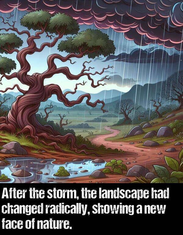 landscape: After the storm, the landscape had changed radically, showing a new face of nature.