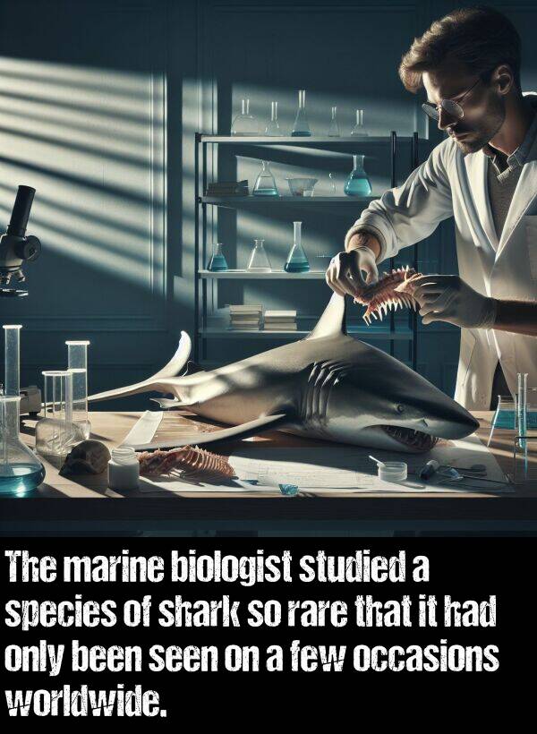 few: The marine biologist studied a species of shark so rare that it had only been seen on a few occasions worldwide.