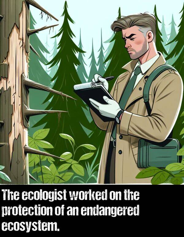worked: The ecologist worked on the protection of an endangered ecosystem.