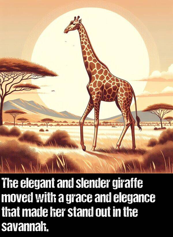 elegance: The elegant and slender giraffe moved with a grace and elegance that made her stand out in the savannah.