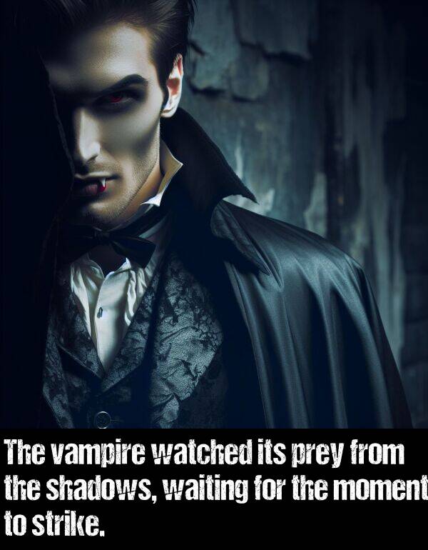 strike: The vampire watched its prey from the shadows, waiting for the moment to strike.