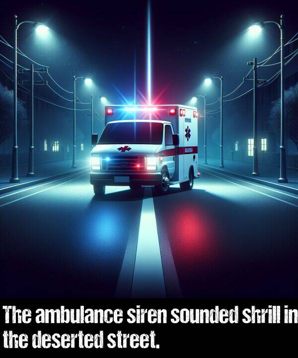 street: The ambulance siren sounded shrill in the deserted street.
