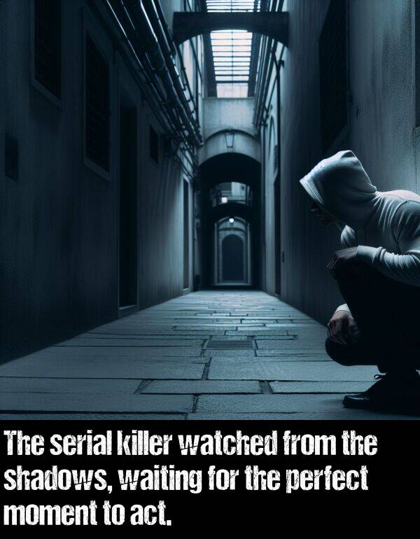 act: The serial killer watched from the shadows, waiting for the perfect moment to act.